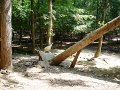 August2008 070